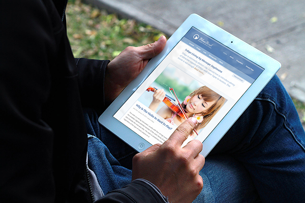 BlueBird Responsive Theme on iPad