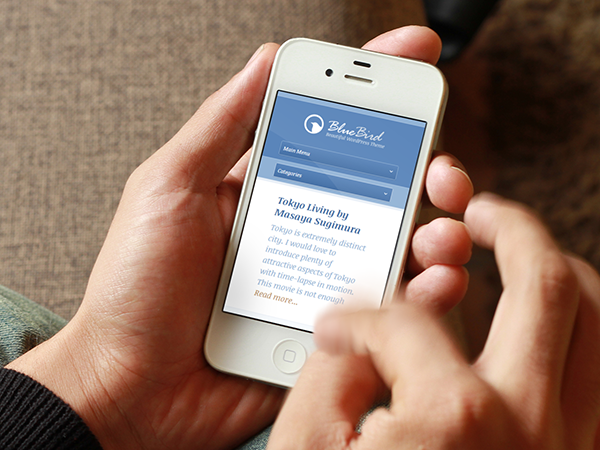 BlueBird Responsive Theme on iPhone